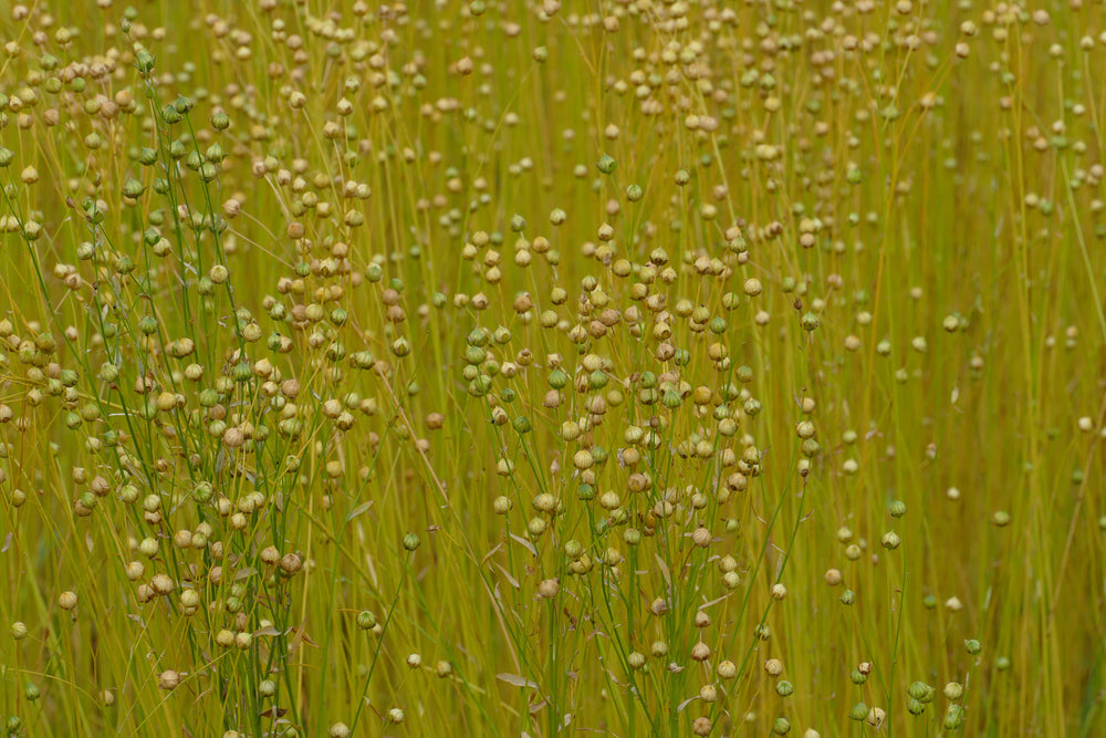 A Blend of Recycled Cotton, TENCEL™ Lyocell, TENCEL™ Recycled Lyocell and Recycled Linen