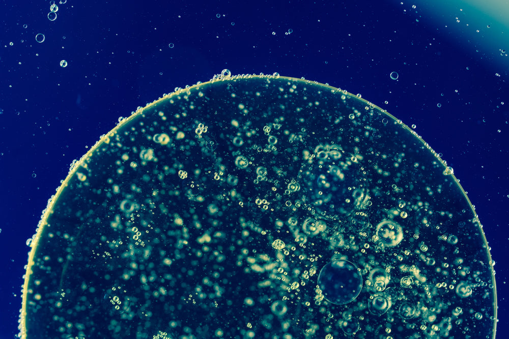 Micro-encapsulated Probiotics